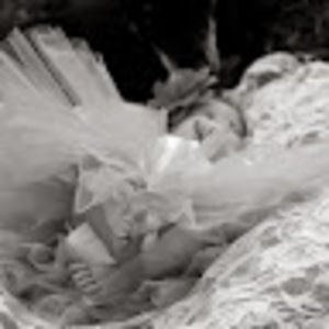 Meet your Posher, Bailey